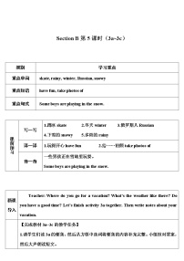 英语人教新目标 (Go for it) 版Section B教案设计