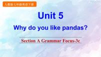 人教新目标 (Go for it) 版七年级下册Unit 5 Why do you like pandas?Section A多媒体教学ppt课件