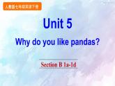 人教新目标版七年级下册英语  Unit 5 Section B 1a-1d课件