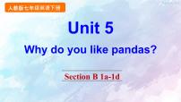 初中英语人教新目标 (Go for it) 版七年级下册Unit 5 Why do you like pandas?Section B教学ppt课件