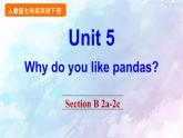 人教新目标版七年级下册英语  Unit 5 Section B 2a-2c课件