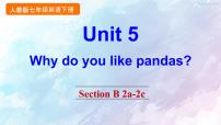人教新目标 (Go for it) 版七年级下册Unit 5 Why do you like pandas?Section B课文课件ppt