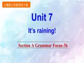 人教新目标版七年级下册英语  Unit 7 Section A Grammar Focus-3b课件