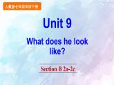 人教新目标版七年级下册英语  Unit 9 Section B 2a-2c课件
