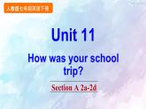 人教新目标版七年级下册英语  Unit 11 Section A 2a-2d课件