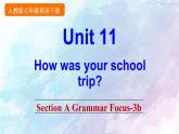 人教新目标版七年级下册英语  Unit 11 Section A Grammar Focus -3b课件
