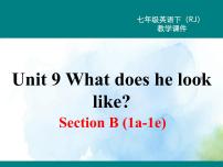 人教新目标 (Go for it) 版七年级下册Section B示范课课件ppt