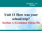 人教新目标版七年级下册英语  Unit 11 Section A (Grammar Focus~3c)Section A 第二课时课件