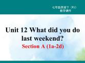 人教新目标版七年级下册英语  Unit 12 Section A (1a~2d)Section A 第一课时课件
