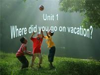 2020-2021学年Unit 1 Where did you go on vacation?Section B课堂教学ppt课件