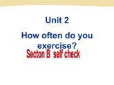 人教版八年级上册英语Unit2样品课件_03（共8份）Section B selfcheck课件