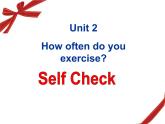 人教版八年级上册英语Unit2样品课件_02（共4份）Self Check课件