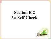 Unit8__SectionB（3a-Self__check）精品课件 鲁教版五四制英语九下