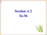 Unit8__SectionA（3a-3c）精品课件 鲁教版五四制英语九下