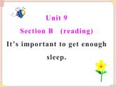 Unit9__SectionB__Reading__精品课件 鲁教版五四制英语九下