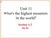 Unit11__SectionA（3a-3c）精品课件 鲁教版五四制英语九下