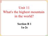 Unit11__SectionB（1a-2e）精品课件 鲁教版五四制英语九下