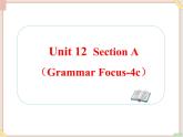 Unit12__SectionA（Grammar__Focus-4c）精品课件 鲁教版五四制英语九下