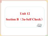Unit12__SectionB（3a-Self__Check）精品课件 鲁教版五四制英语九下