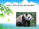 人教版七年级英语下册复习课件Unit5  Why do you like pandas（15张PPT）
