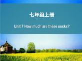 人教版七年级英语上册复习课件Unit 7 How much are these socks？知识总结课件（25张PPT）