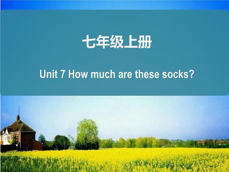 人教版七年级英语上册复习课件Unit 7 How much are these socks？知识总结课件（25张PPT）第1页