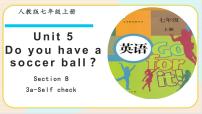 人教新目标 (Go for it) 版七年级上册Unit 5 Do you have a soccer ball?Section B优质课件ppt