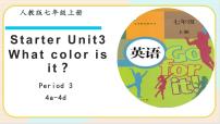 初中英语人教新目标 (Go for it) 版七年级上册Unit 3 What color is it ?背景图ppt课件