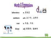 人教新目标 (Go for it) 版英语九年级 Unit 8 Section A（GF-4C） PPT课件+教案+导学案