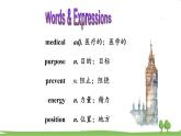 人教新目标 (Go for it) 版英语九年级 Unit 8 Section B （2a-2e） PPT课件+教案+导学案