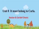 人教新目标 (Go for it) 版英语九年级 Unit 8 Section B （3a-Self Check） PPT课件+教案+导学案