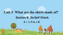 人教新目标 (Go for it) 版九年级全册Section B示范课ppt课件