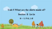 人教新目标 (Go for it) 版九年级全册Section B多媒体教学课件ppt