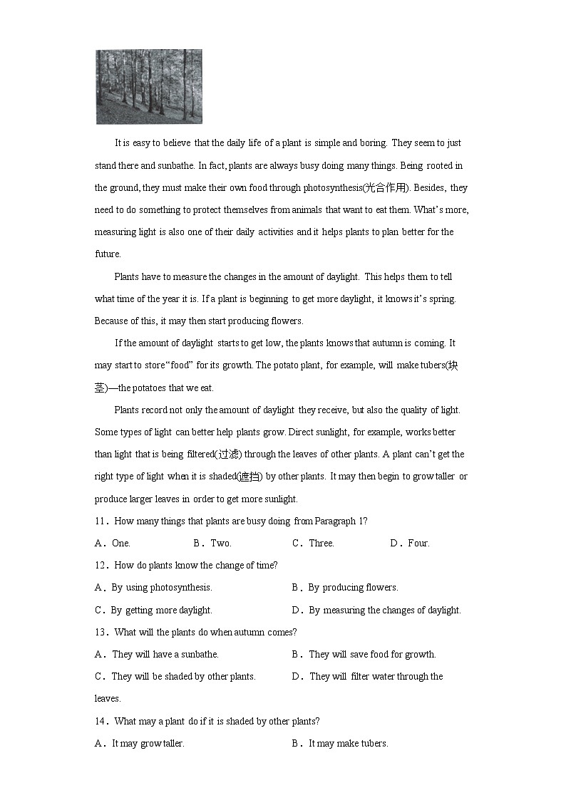 广东省深圳市光明区2021-2022学年八年级下学期期末英语试题(word版含答案)02