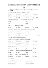 广西河池市南丹县2021-2022学年七年级下学期期末英语试题(word版含答案)