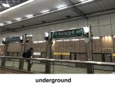 Module4+Unit+1课件2022-2023学年外研版八年级上册英语