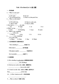 初中英语人教新目标 (Go for it) 版七年级上册Section A优秀综合训练题