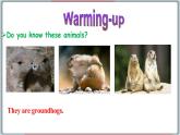 冀教版八年级英语下册--Unit 1 Lesson 6 Stories about Spring（课件+素材）