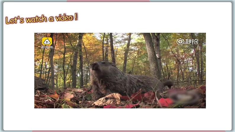 冀教版八年级英语下册--Unit 1 Lesson 6 Stories about Spring（课件+素材）07