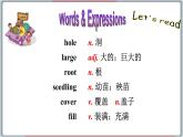 2022--2023学年冀教版八年级英语下册--Unit 2 Lesson 7 Planting Trees（课件+素材）