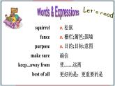 2022--2023学年冀教版八年级英语下册--Unit 2 Lesson 10 Make Your Garden Grow!（课件+素材）