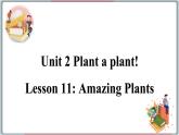 2022--2023学年冀教版八年级英语下册--Unit 2 Lesson 11 Amazing Plants（课件+素材）