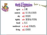 2022--2023学年冀教版八年级英语下册--Unit 2 Lesson 11 Amazing Plants（课件+素材）