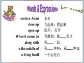 冀教版八年级英语下册--Unit 2 Lesson 11 Amazing Plants（课件+素材）