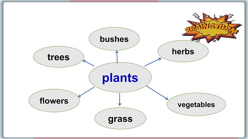 冀教版八年级英语下册--Unit 2 Lesson 11 Amazing Plants（课件+素材）05