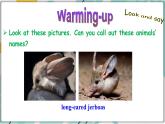 冀教版八年级英语下册--Unit 3 Lesson 14 Amazing Animals（课件+素材）