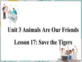 冀教版八年级英语下册--Unit 3 Lesson 17 Save the Tigers（课件+素材）