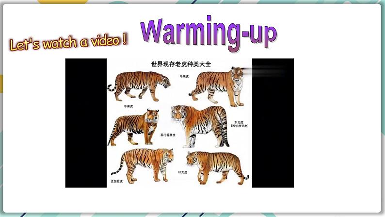 2022--2023学年冀教版八年级英语下册--Unit 3 Lesson 17 Save the Tigers（课件+素材）06