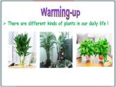 冀教版八年级英语下册--Unit 2 Lesson 8 Why Are Plants Important（课件+素材）