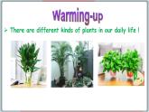 2022--2023学年冀教版八年级英语下册--Unit 2 Lesson 8 Why Are Plants Important（课件+素材）